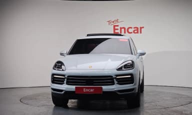 Cayenne (PO536)