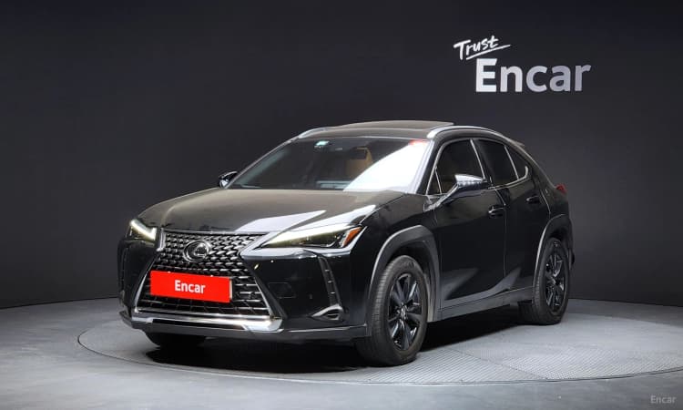 UX250h