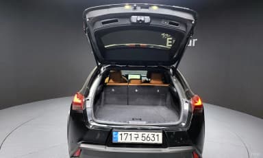 UX250h