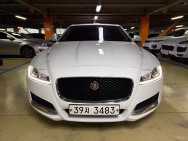 XF (x260)