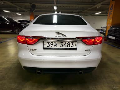 XF (x260)