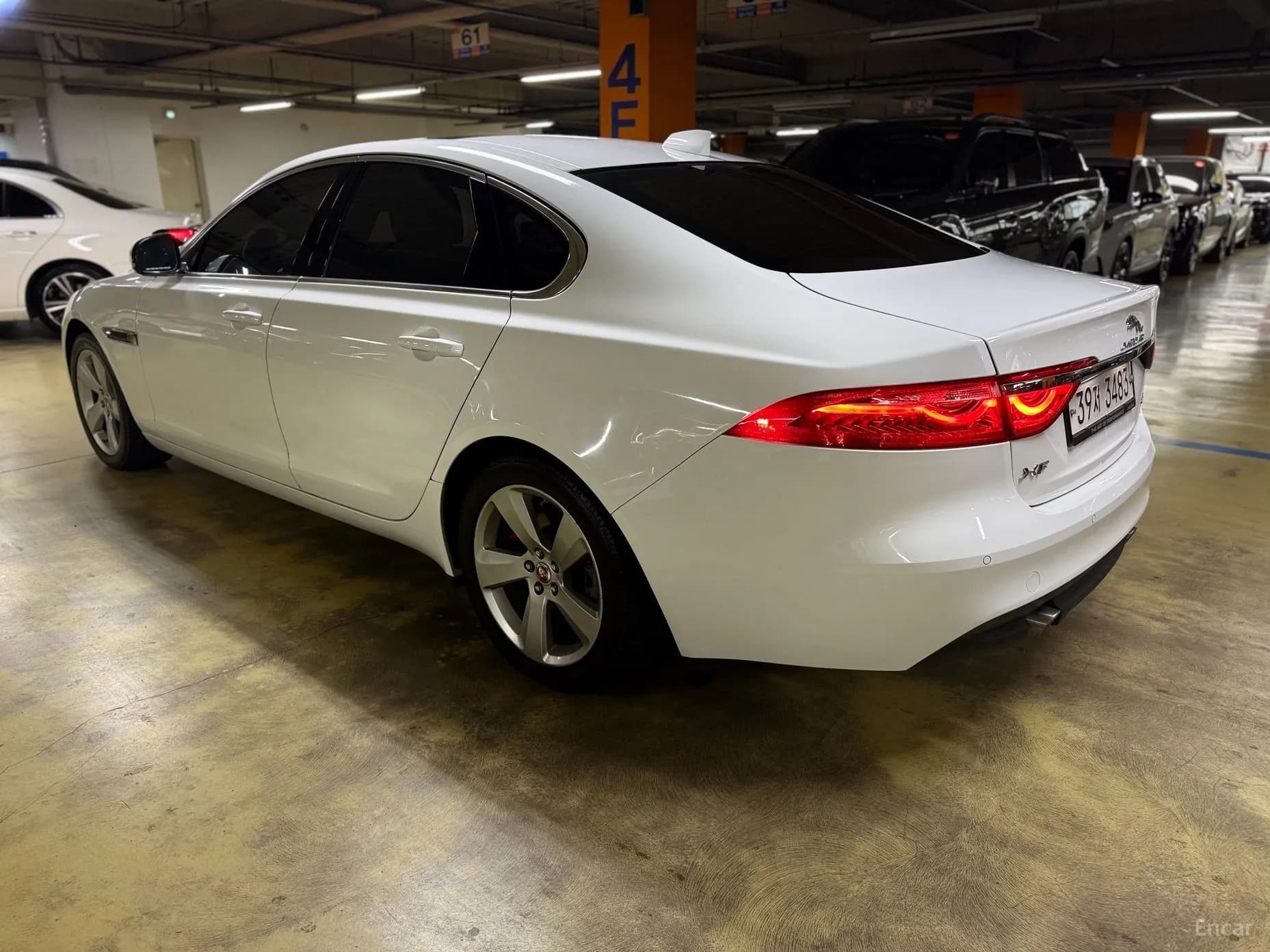 XF (x260)