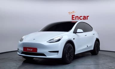 Model Y