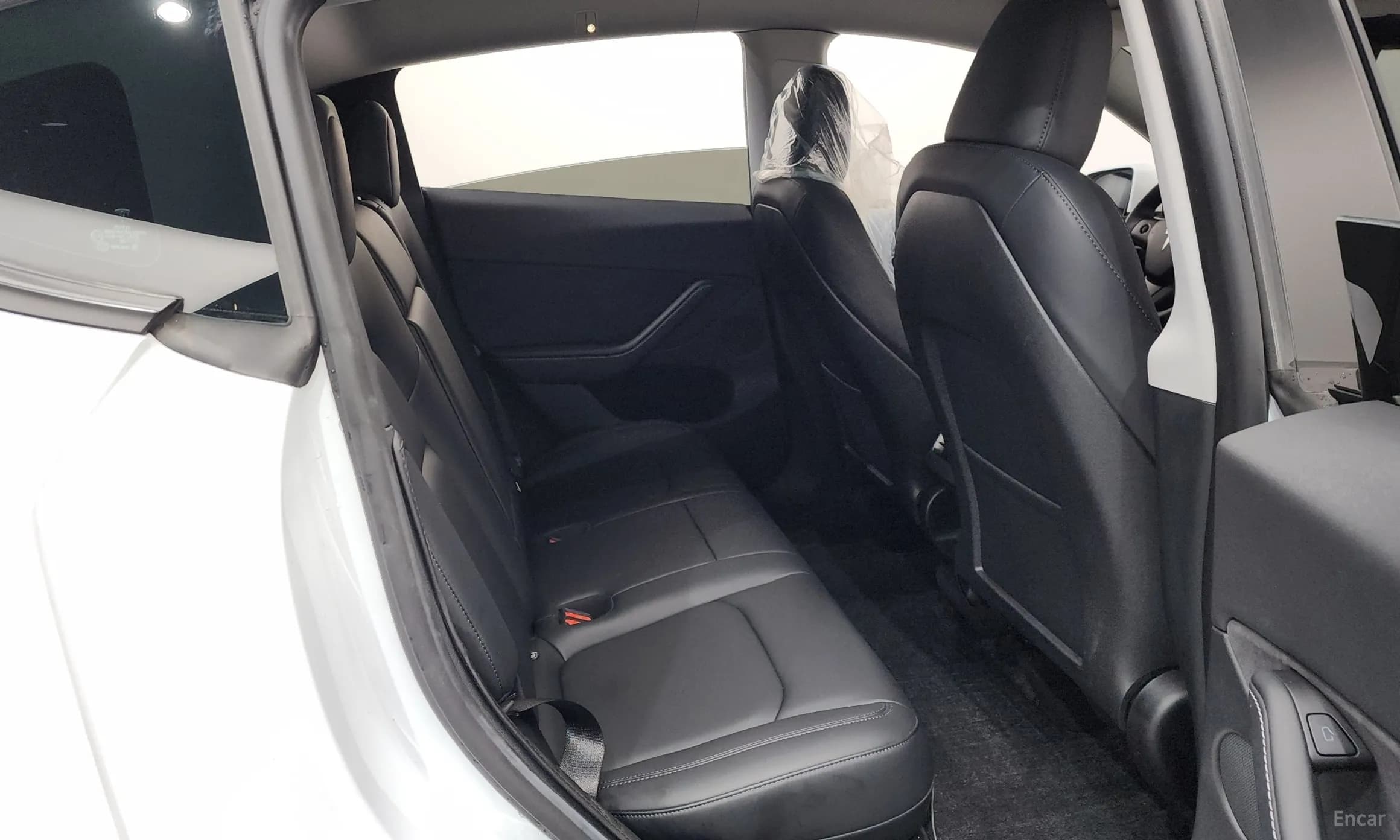 Model Y