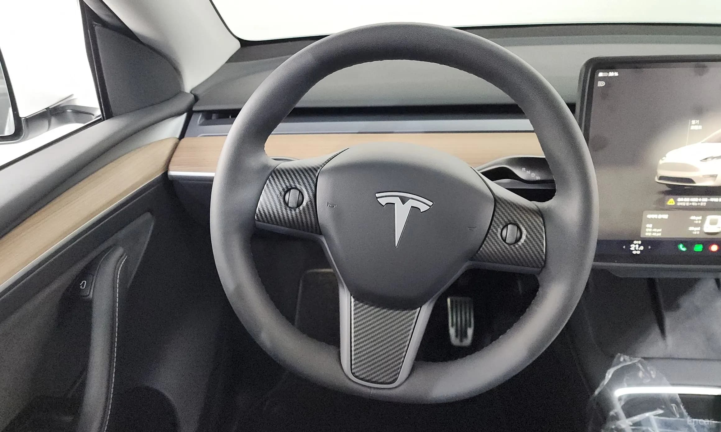 Model Y