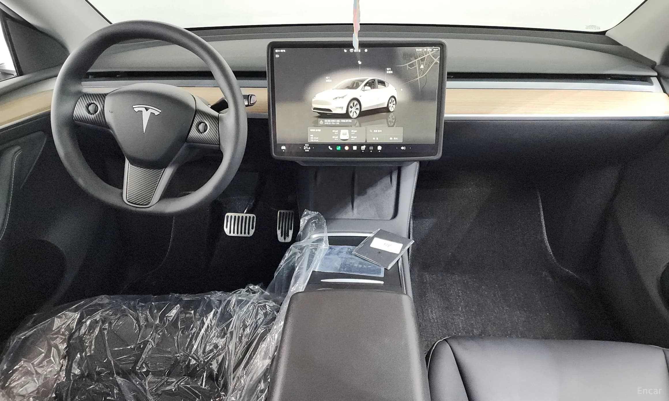 Model Y