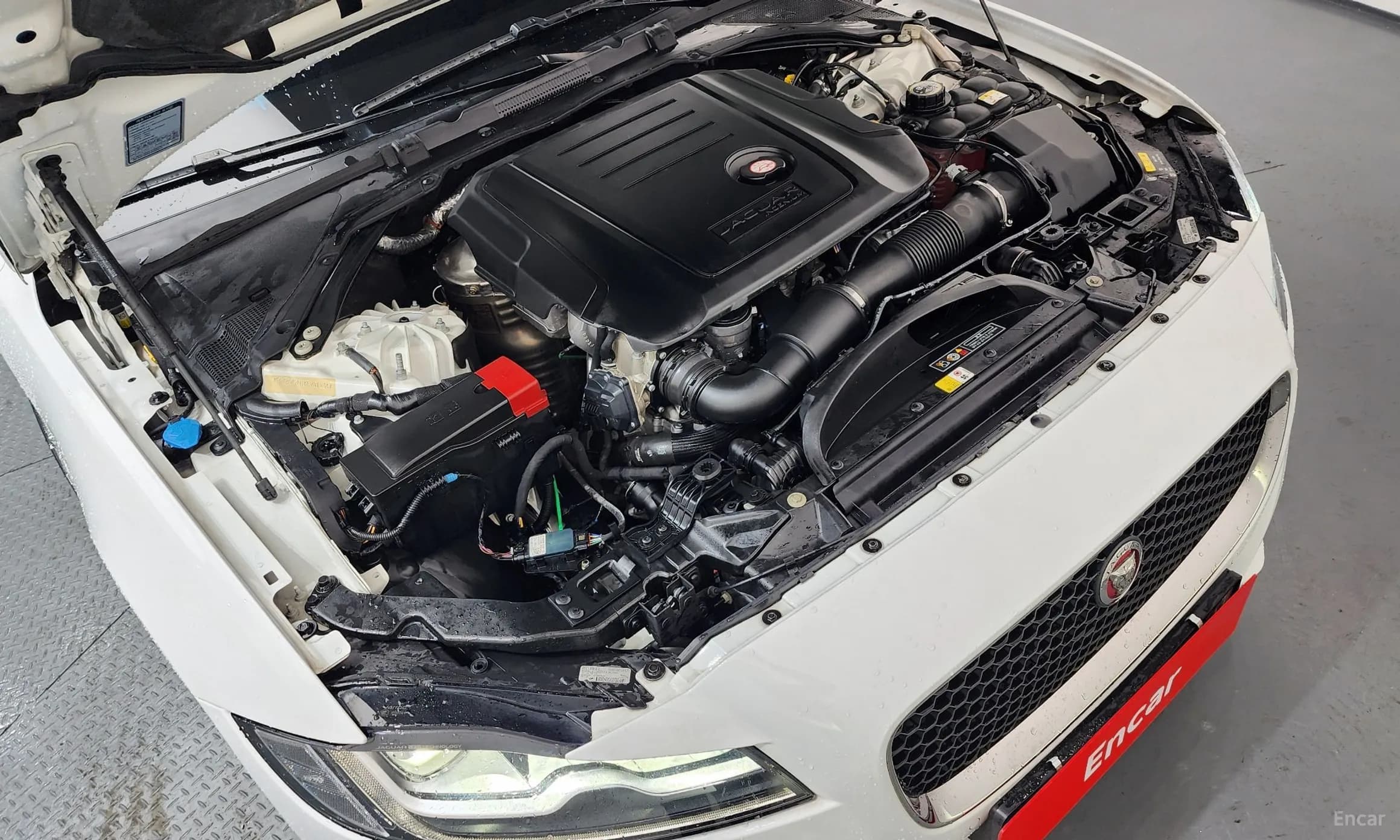 XF (x260)