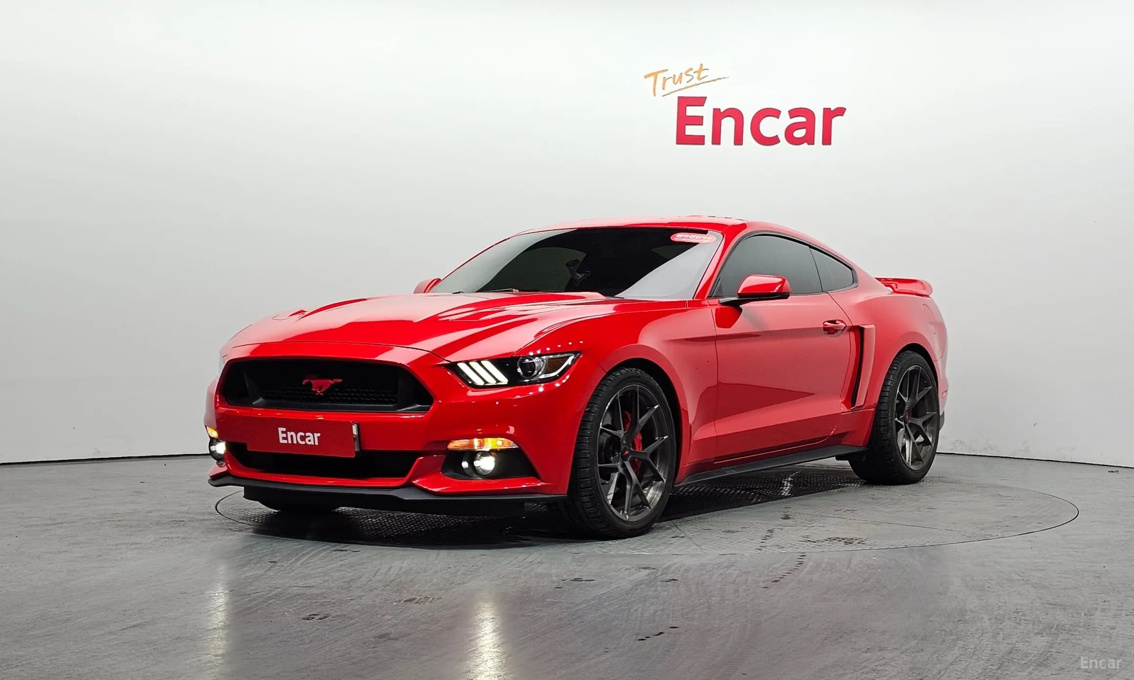 Mustang