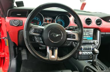 Mustang