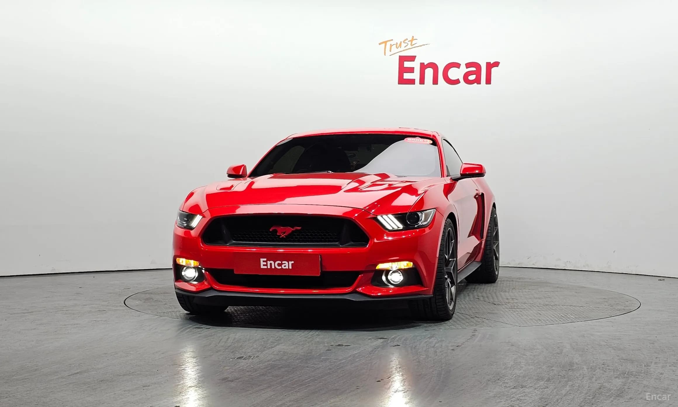 Mustang