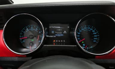 Mustang