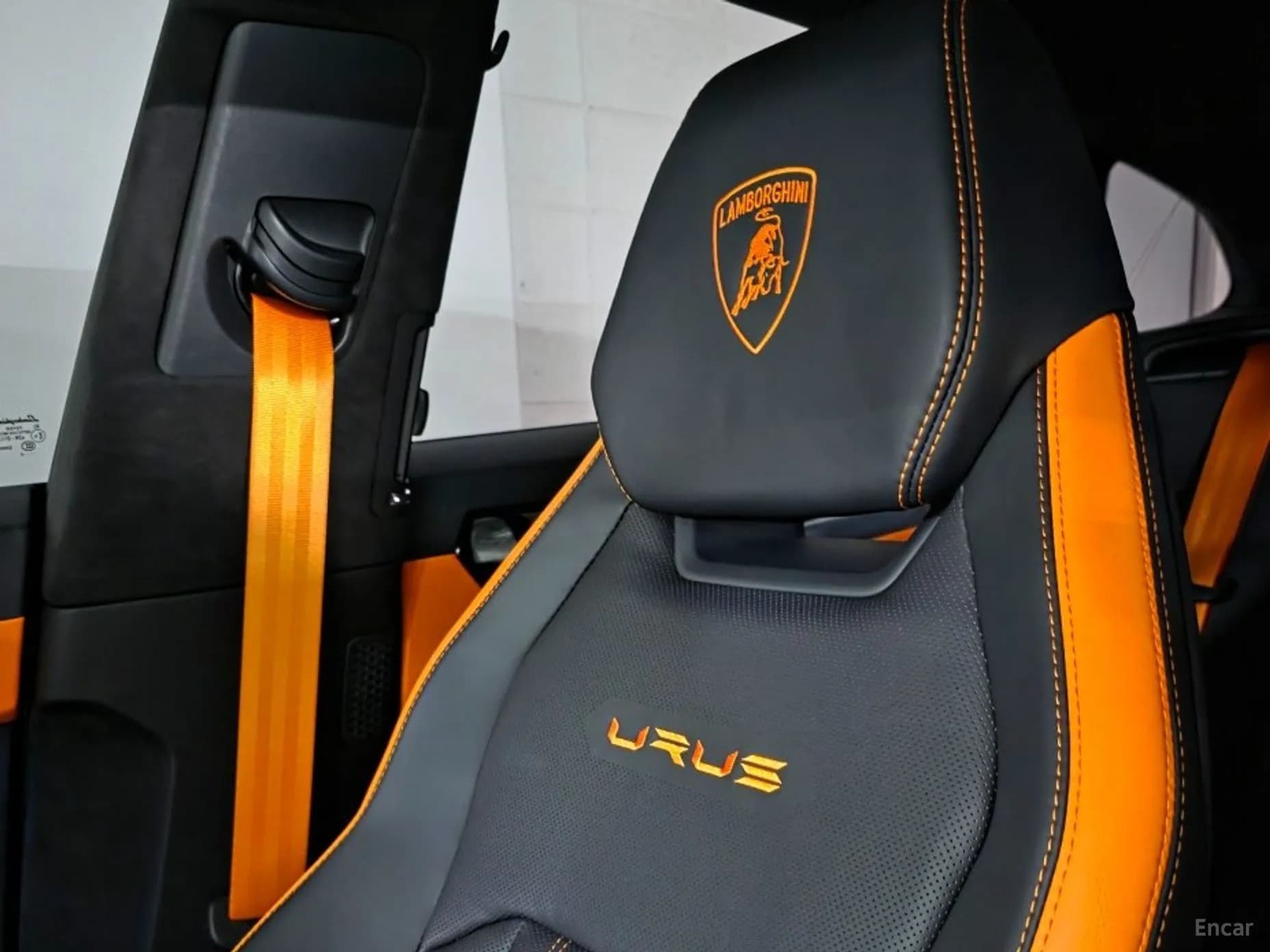 Urus