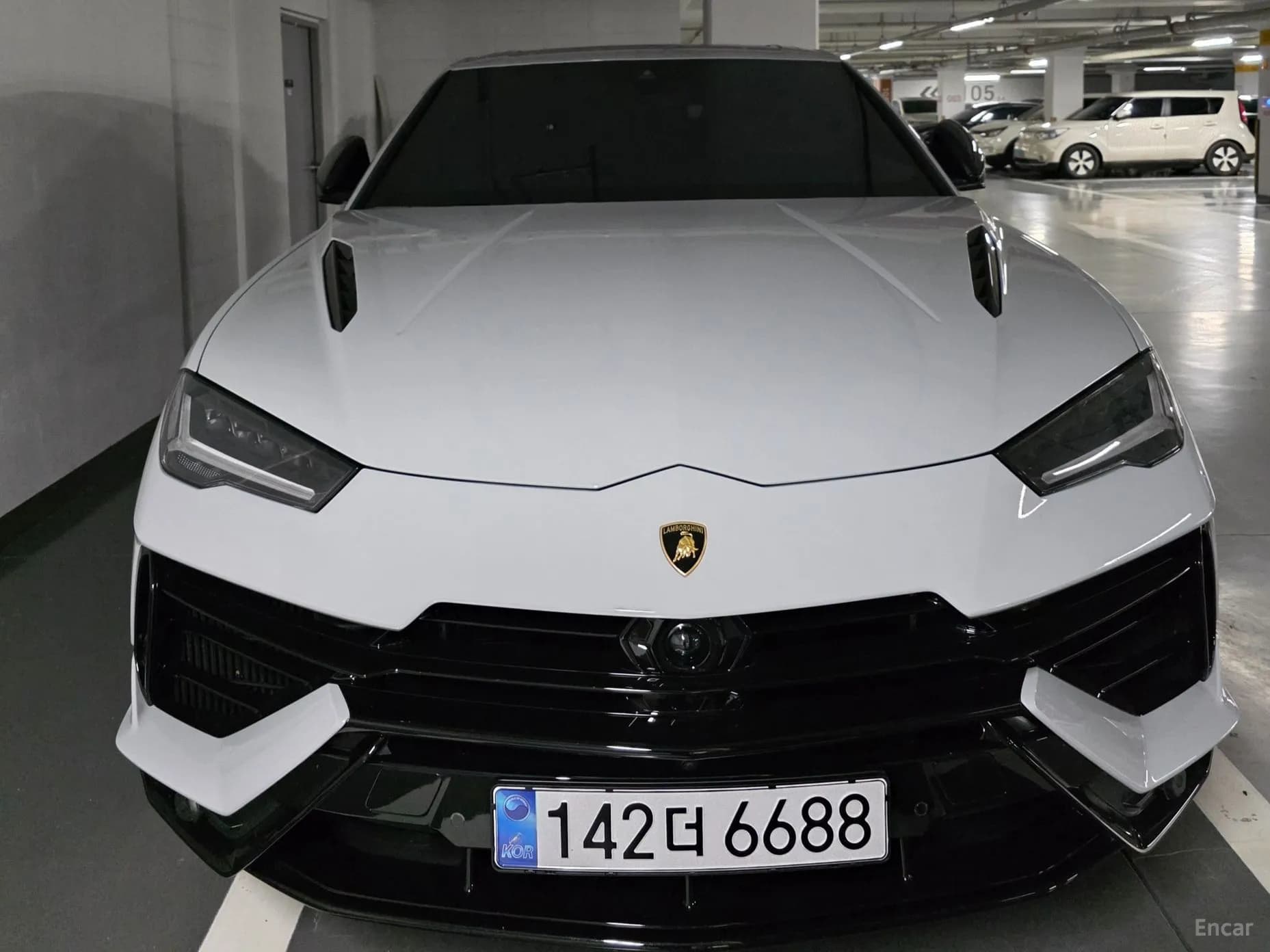 Urus