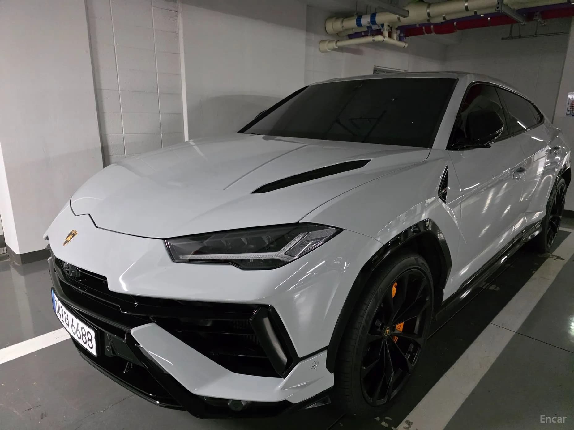 Urus