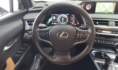UX250h