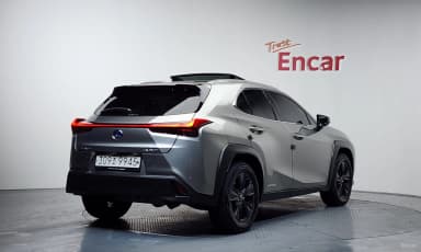 UX250h