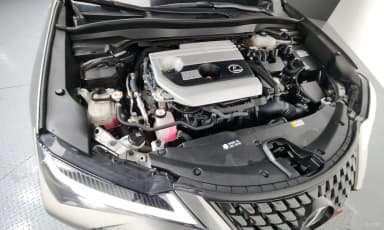 UX250h