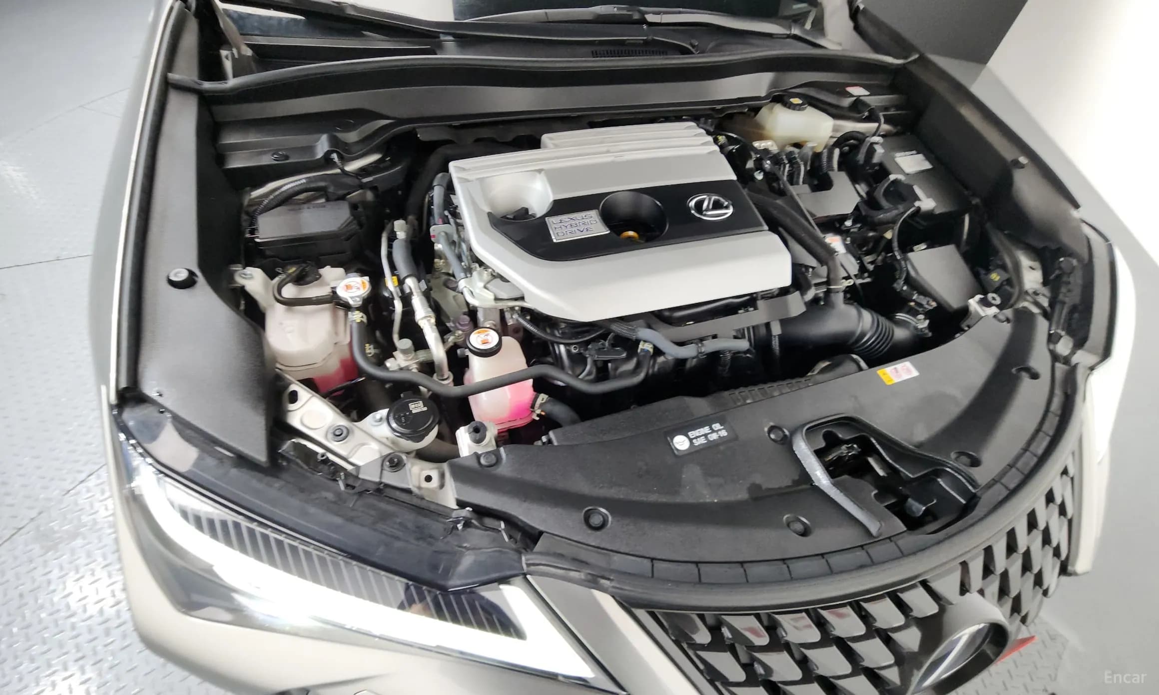 UX250h