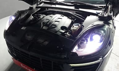 Macan