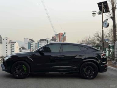 Urus