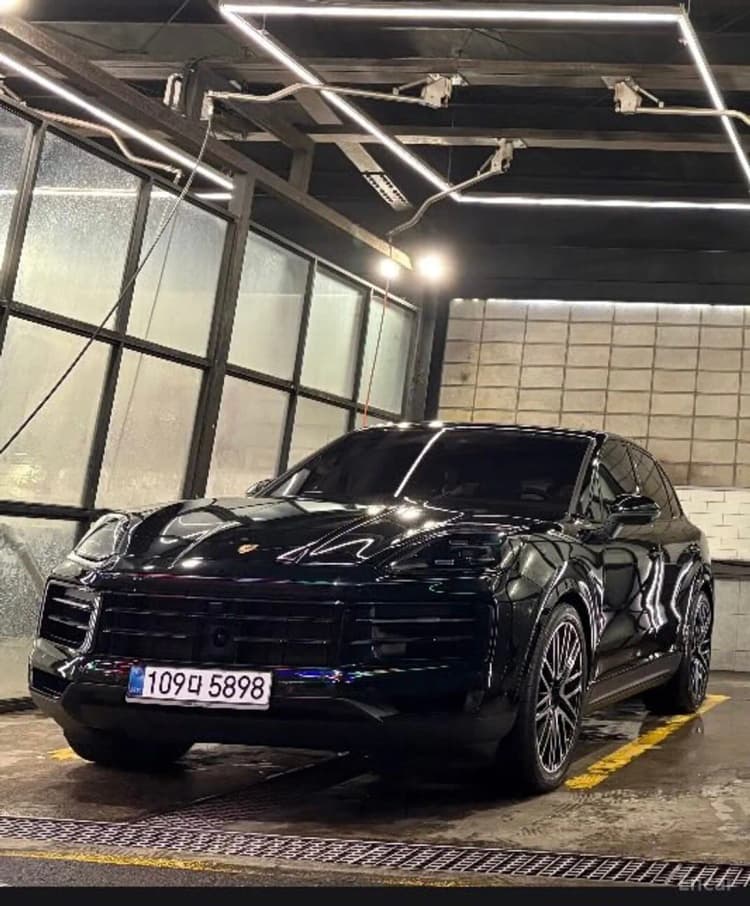 Cayenne (PO536)