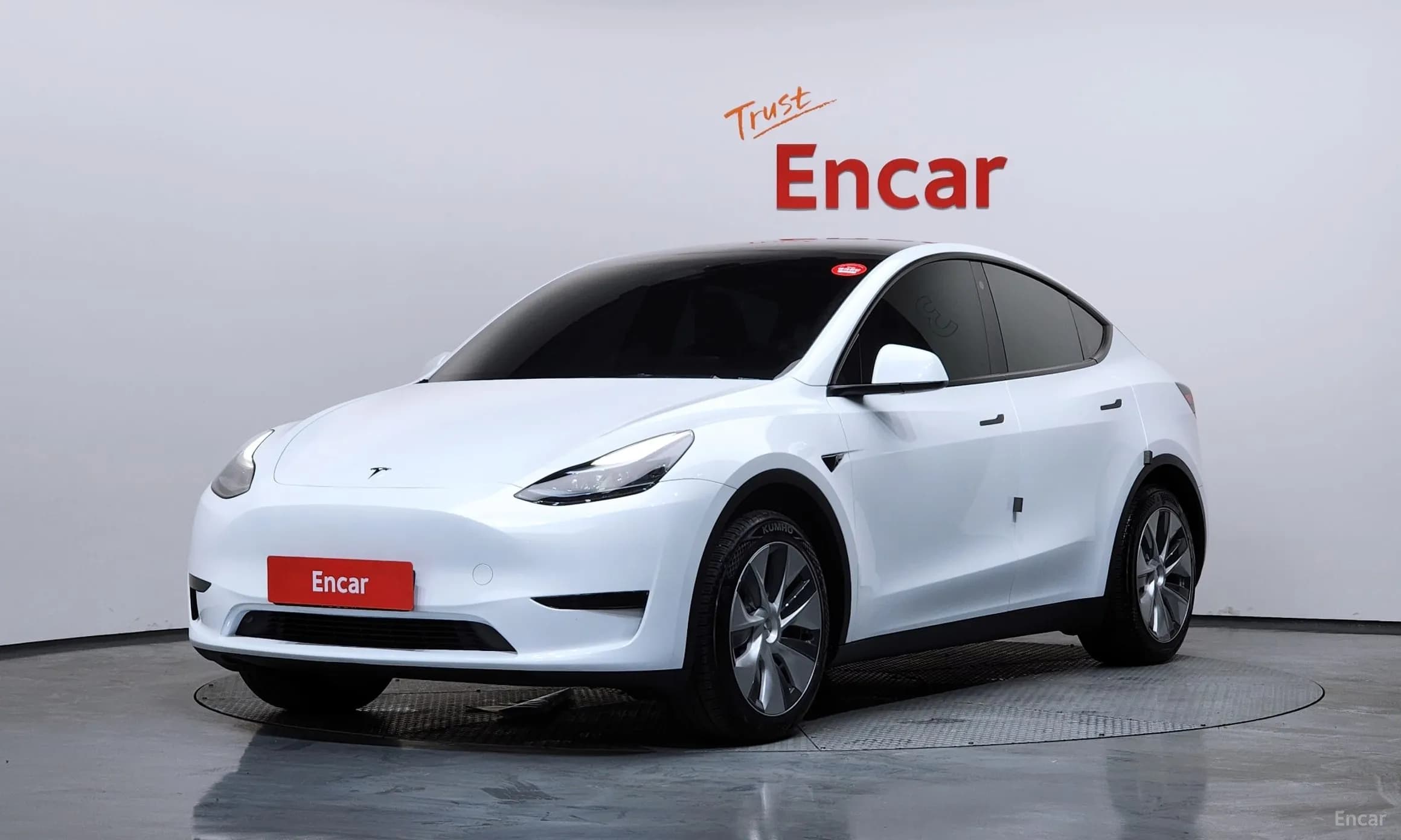 Model Y