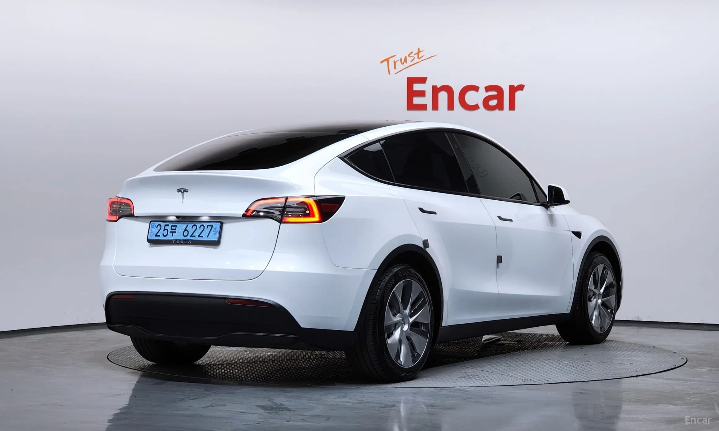 Model Y