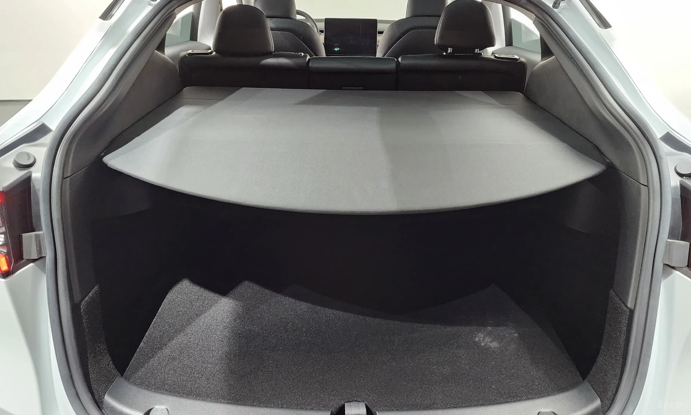 Model Y