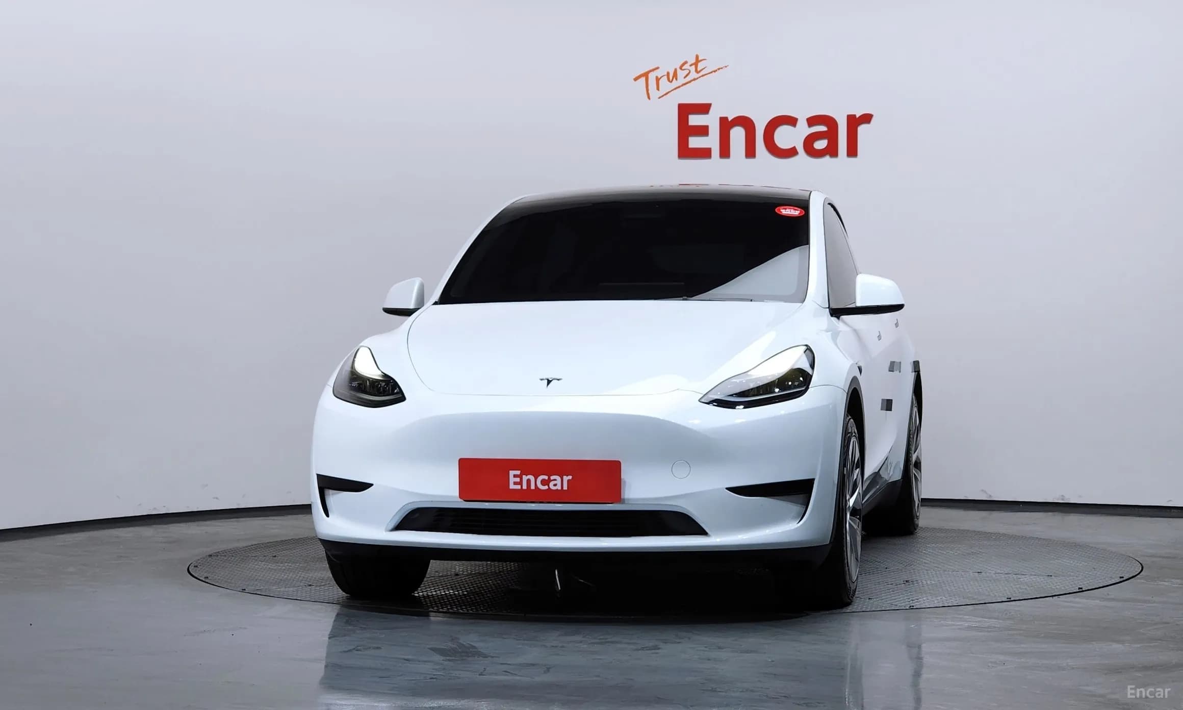 Model Y