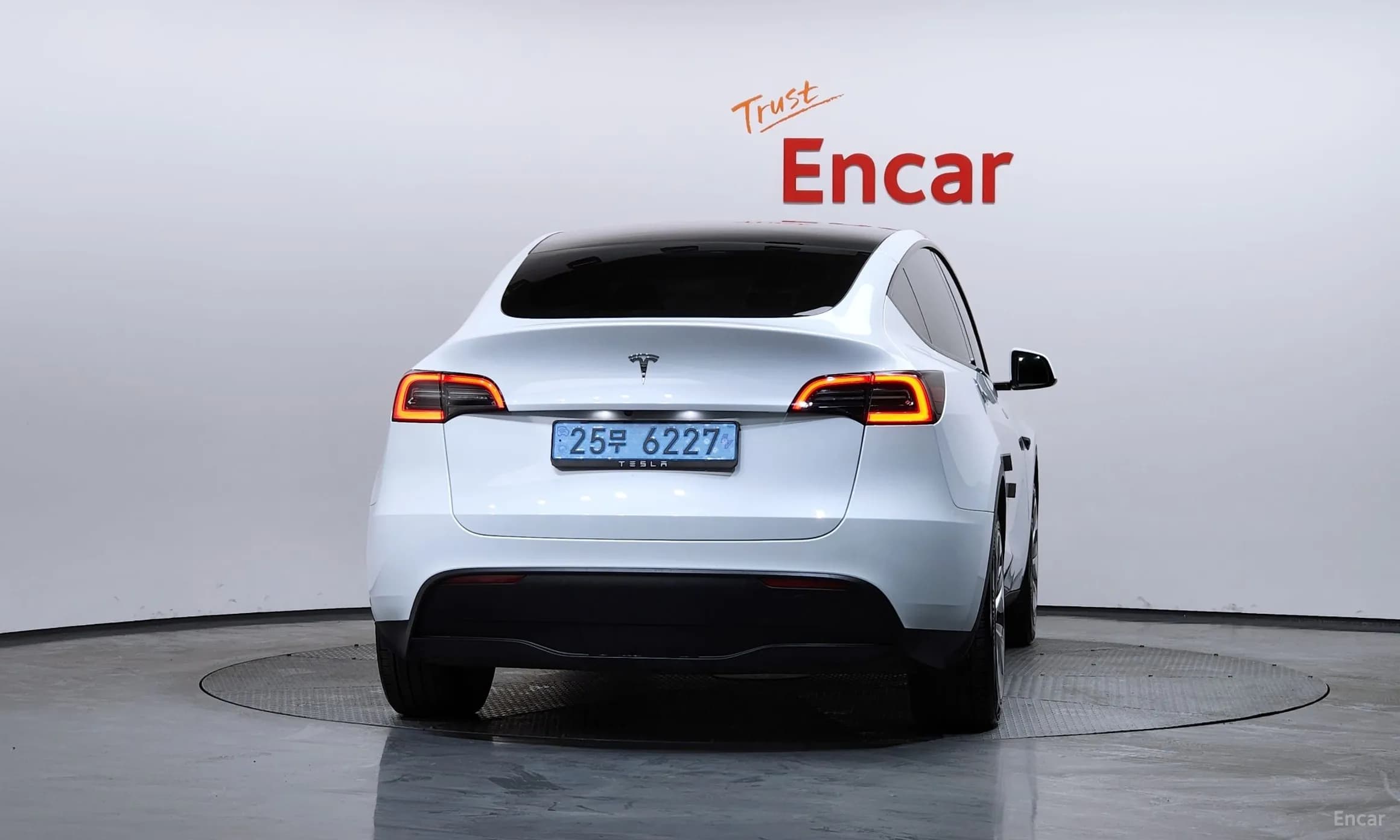 Model Y