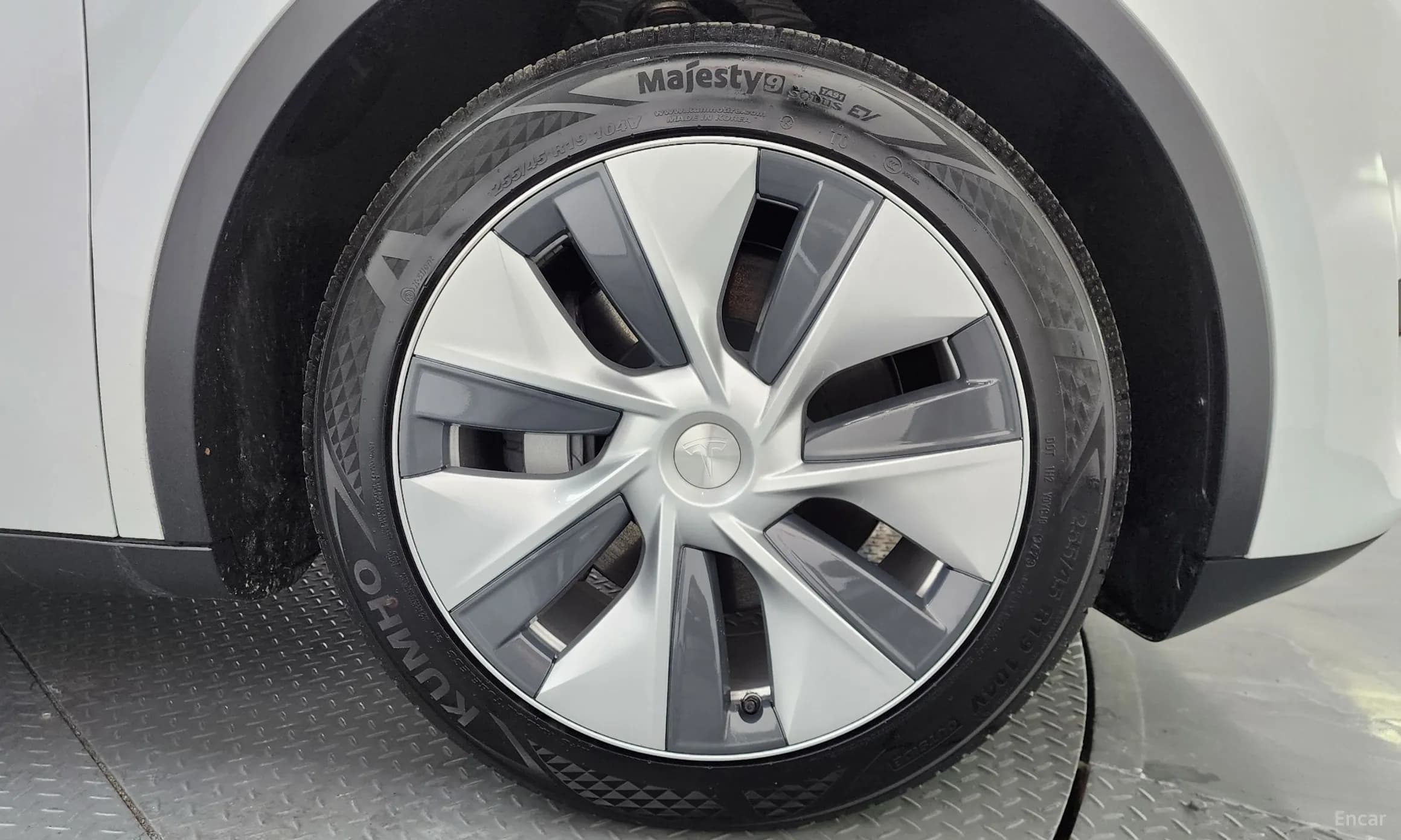 Model Y