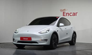 Model Y