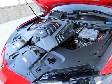 Urus