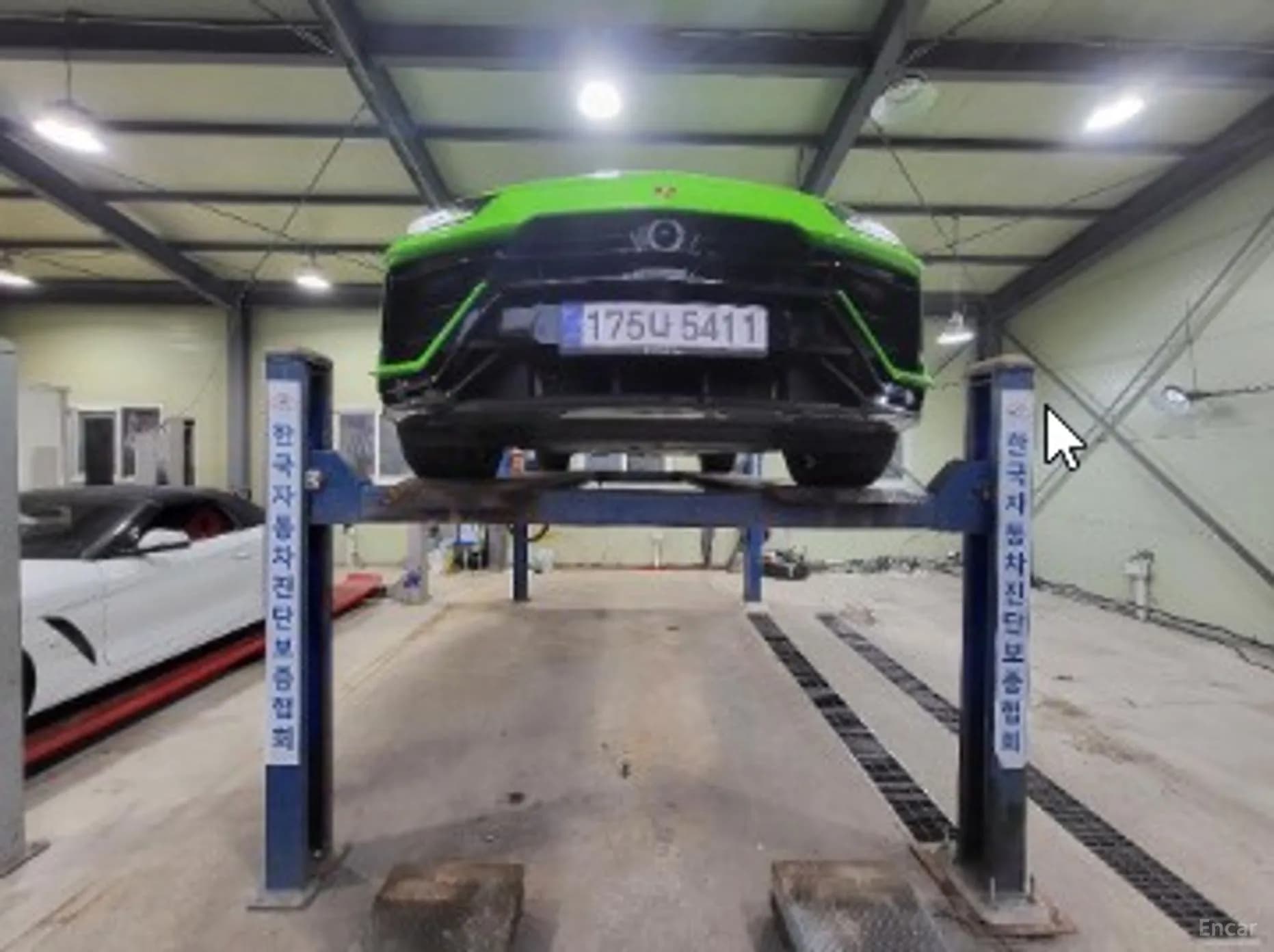 Urus