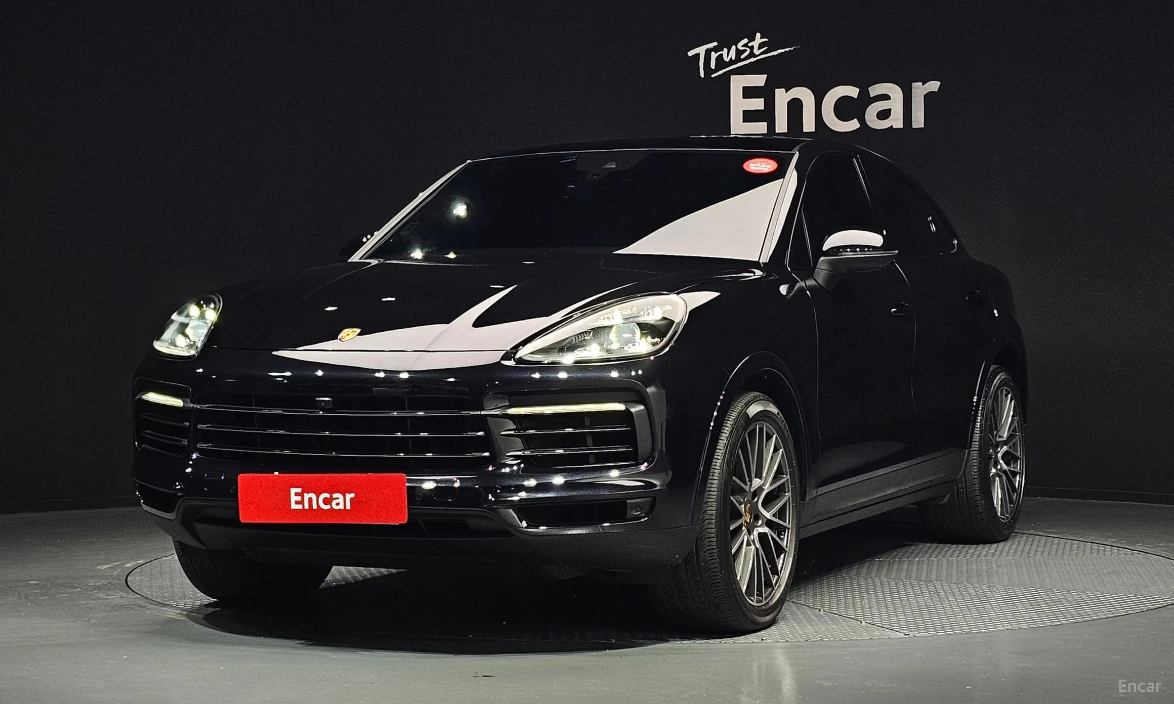 Cayenne (PO536)