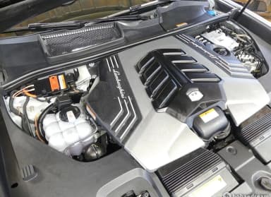 Urus
