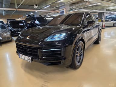 Cayenne (PO536)