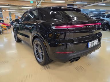 Cayenne (PO536)