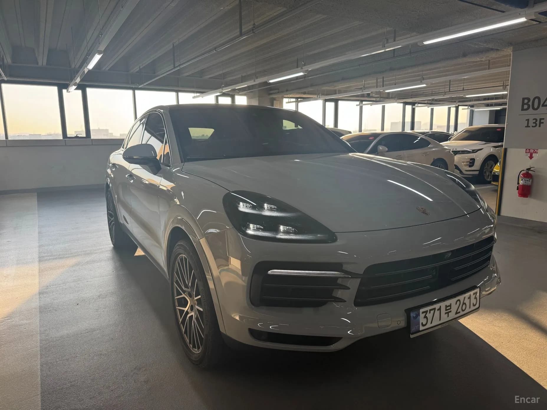 Cayenne (PO536)