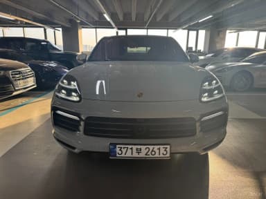 Cayenne (PO536)