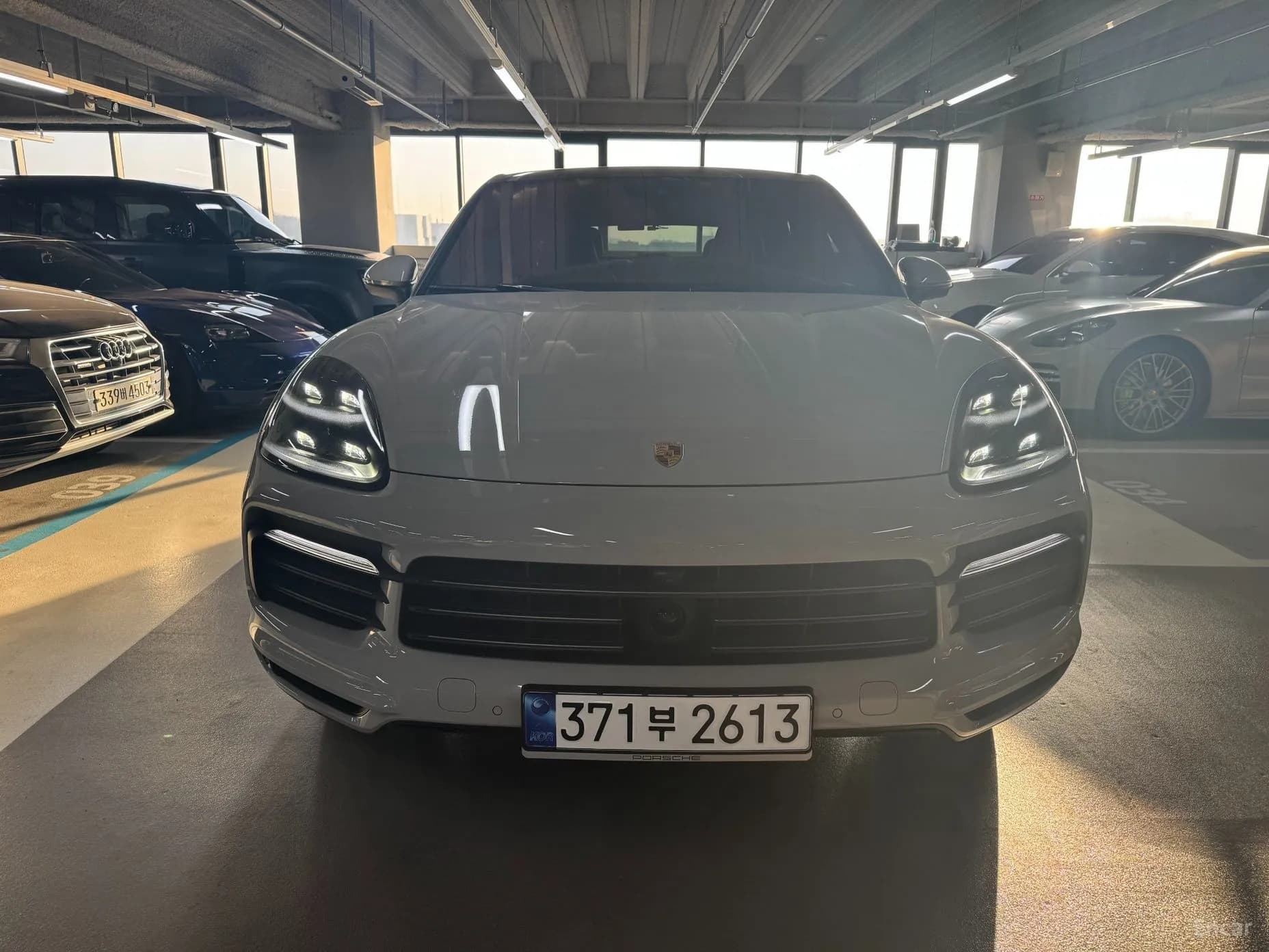 Cayenne (PO536)