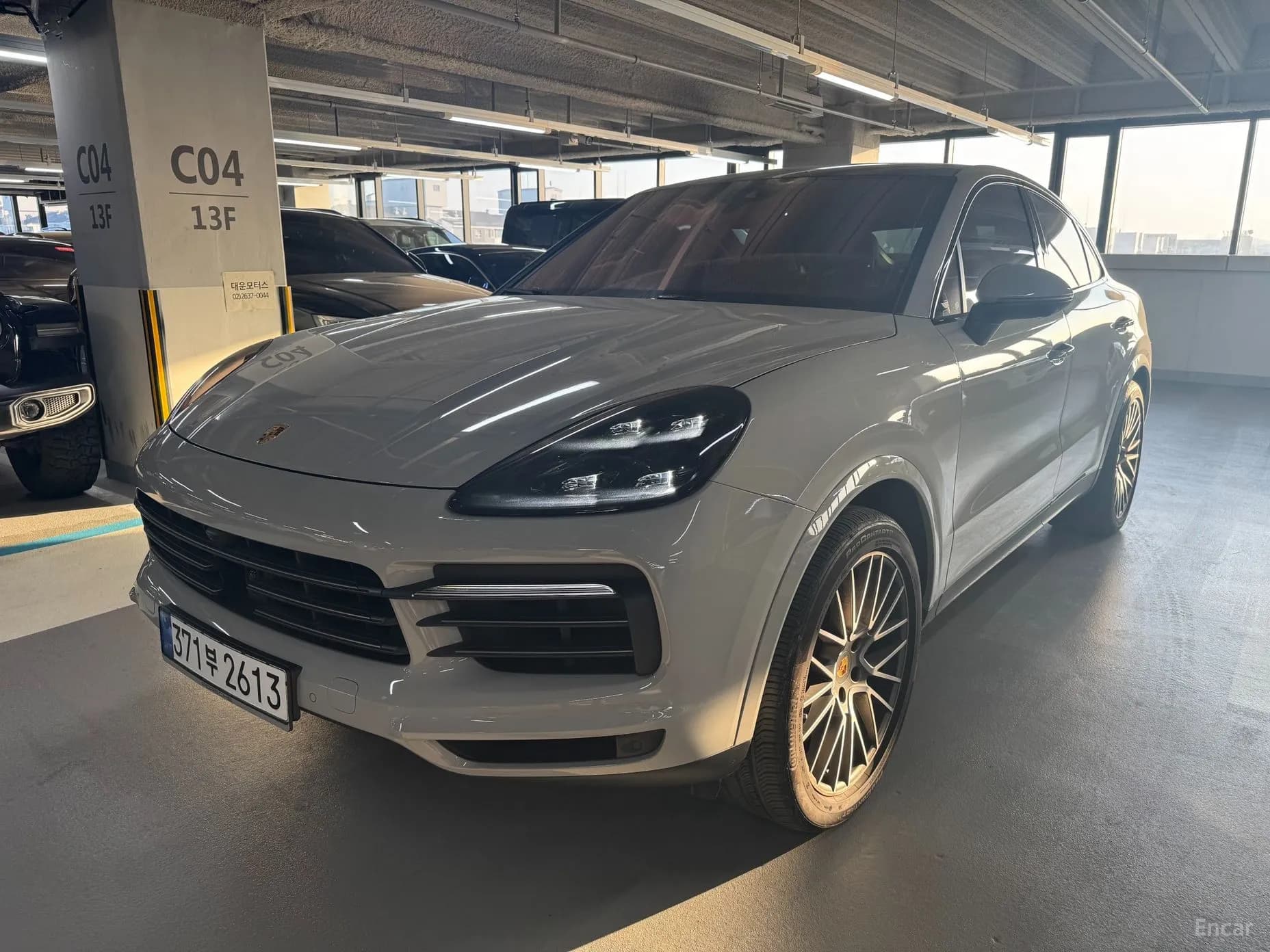 Cayenne (PO536)