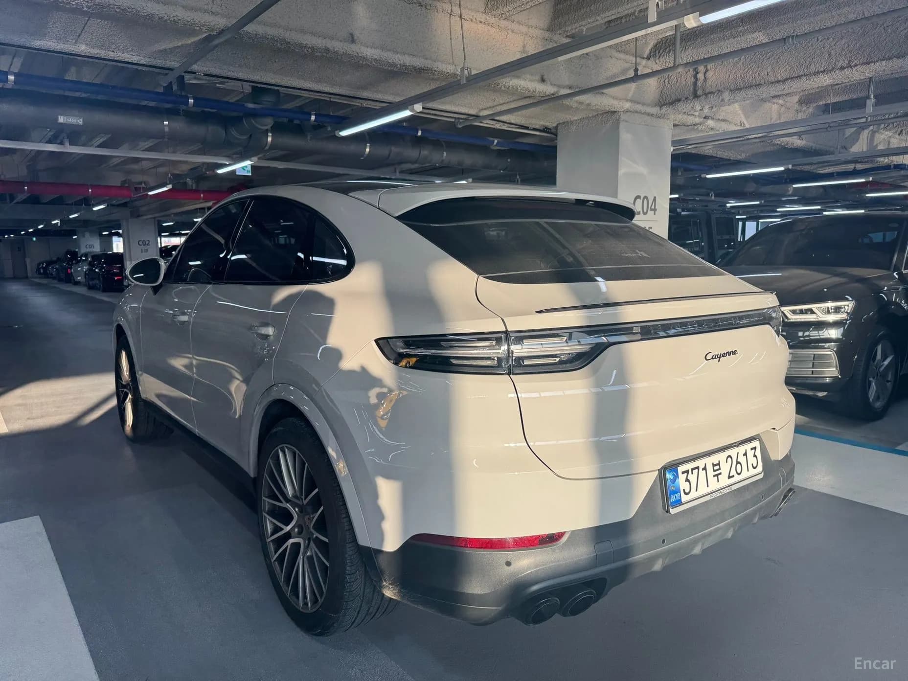 Cayenne (PO536)