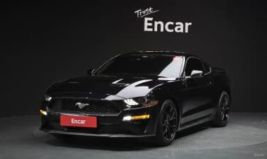 Mustang
