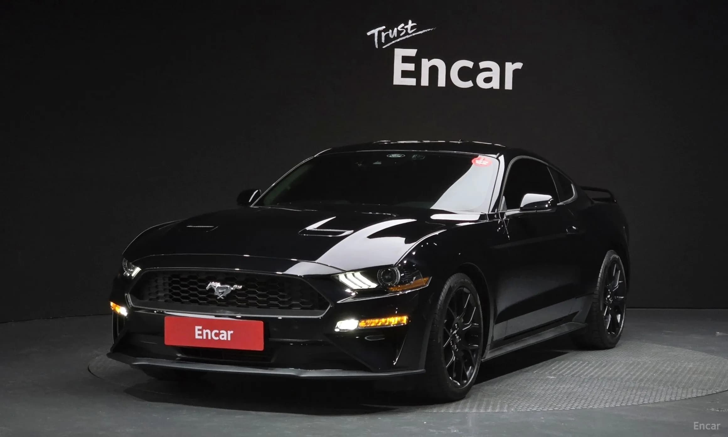 Mustang