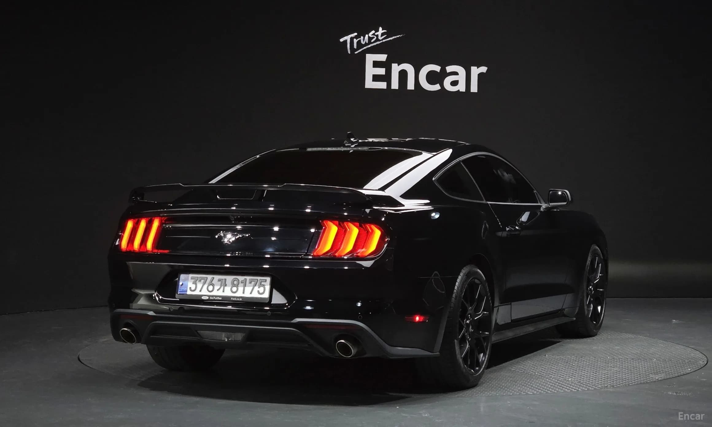 Mustang