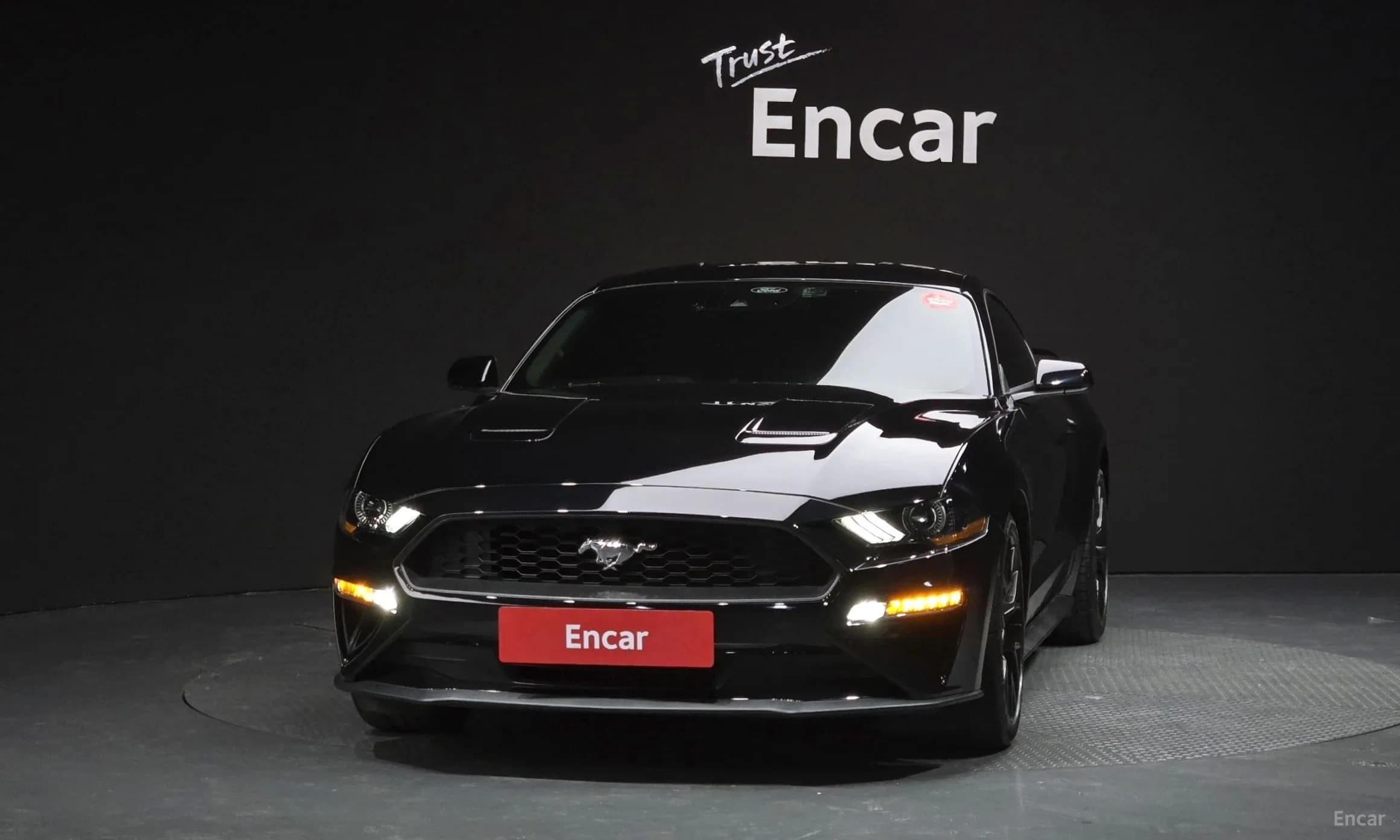 Mustang