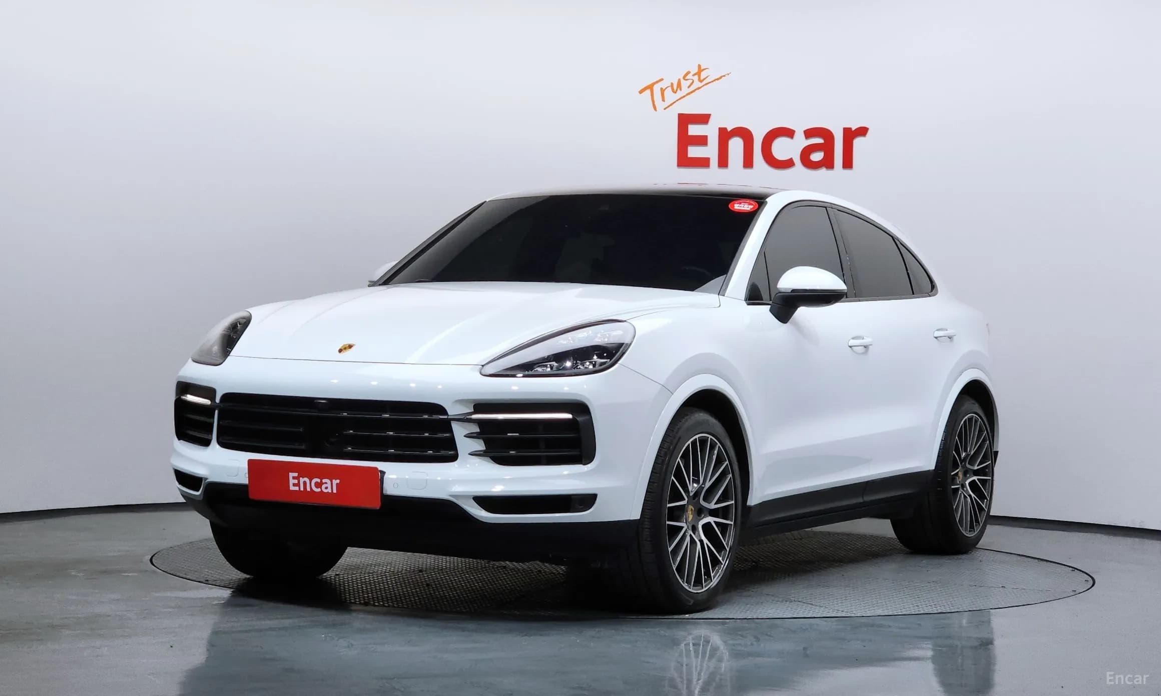 Cayenne (PO536)