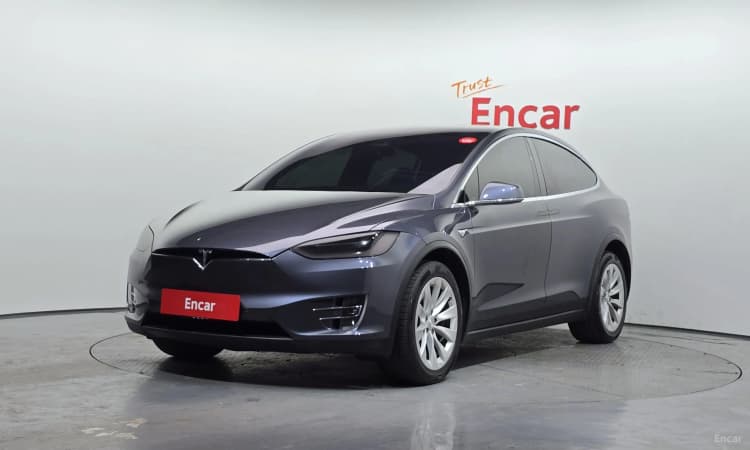 Model X