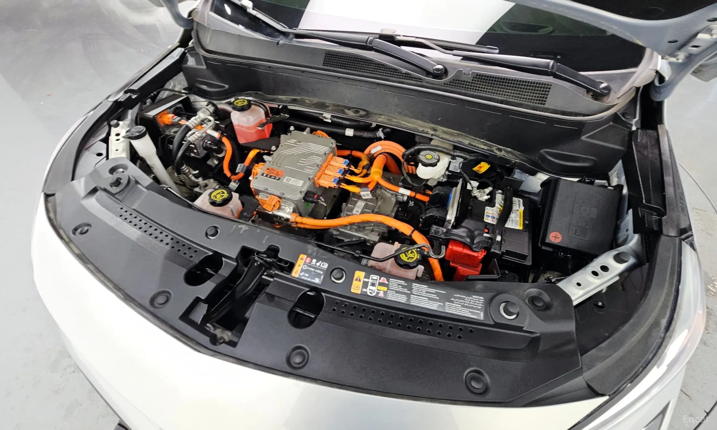 Volt EUV